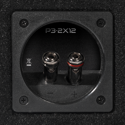Rockford Fosgate P3-2x12 dual 12" sub and enclosure
