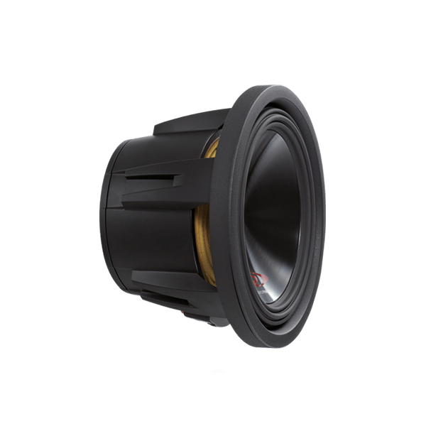 Alpine SWR-10D2 10" subwoofer