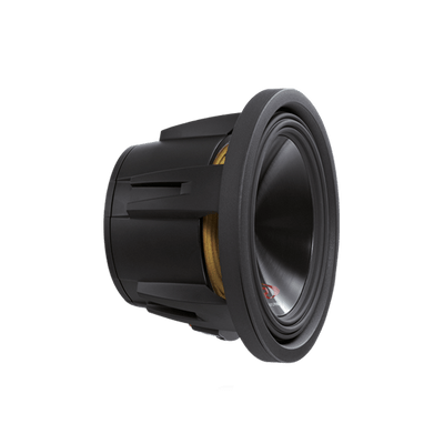 Alpine SWR-10D2 10" subwoofer